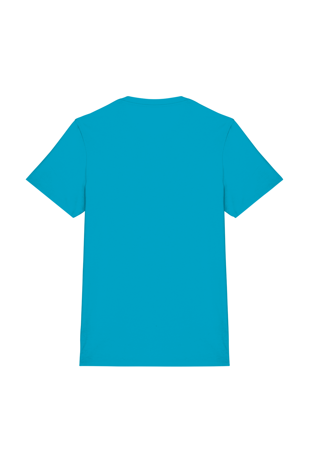 NS300 - Camiseta ecorresponsable unisex - Light Turquoise - trasera