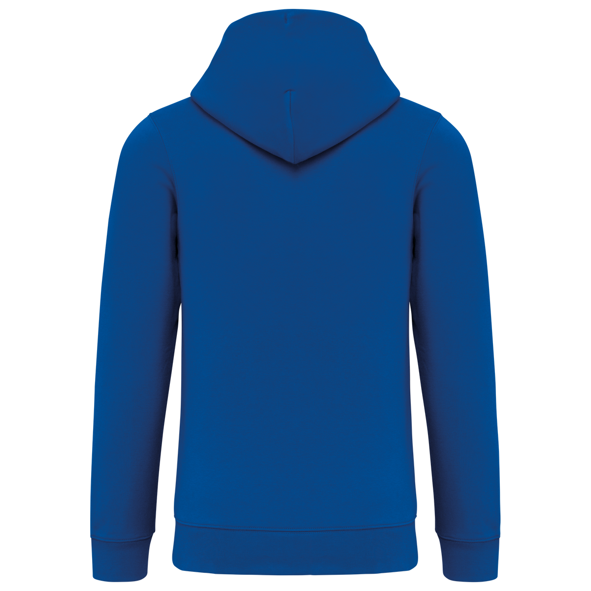 NS402 - Sudadera ecorresponsable con cremallera y capucha unisex - Sea Blue - trasera