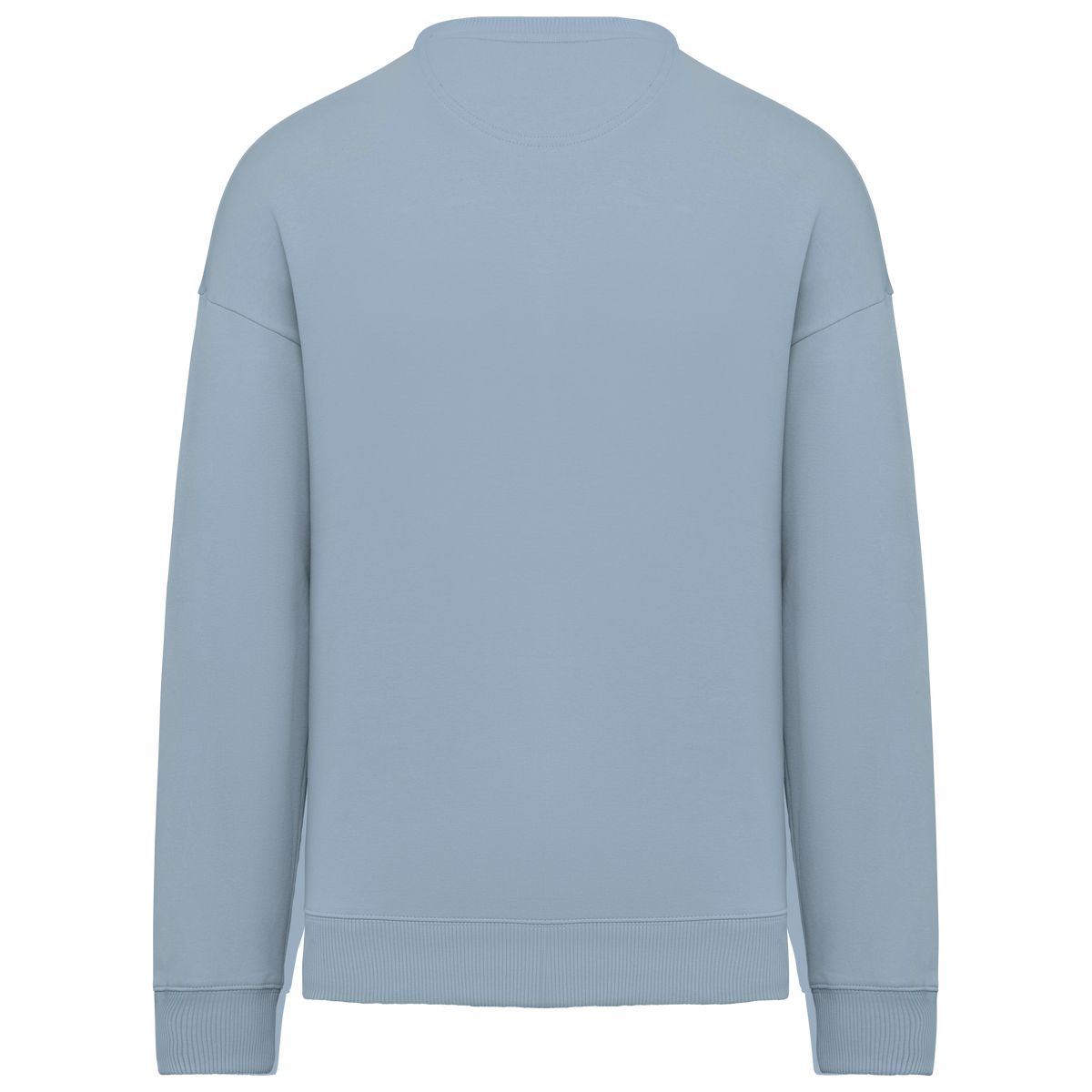 NS407 - Sudadera ecorresponsable cuello redondo oversize unisex - Aquamarine - trasera