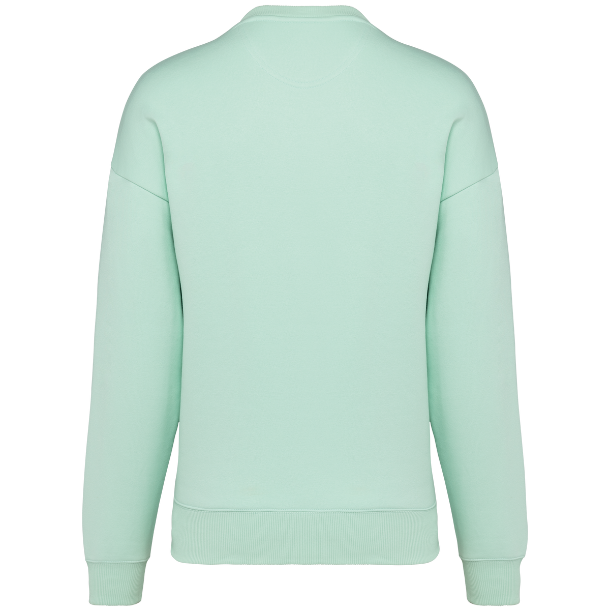 NS407 - Sudadera ecorresponsable cuello redondo oversize unisex - Brook Green - trasera