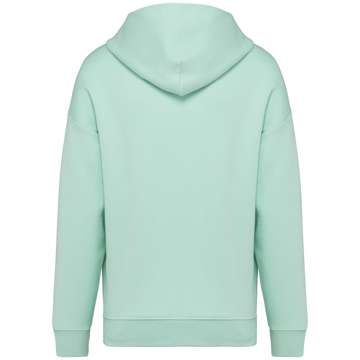NS408 - Sudadera ecorresponsable con capucha oversize unisex - Brook Green - trasera